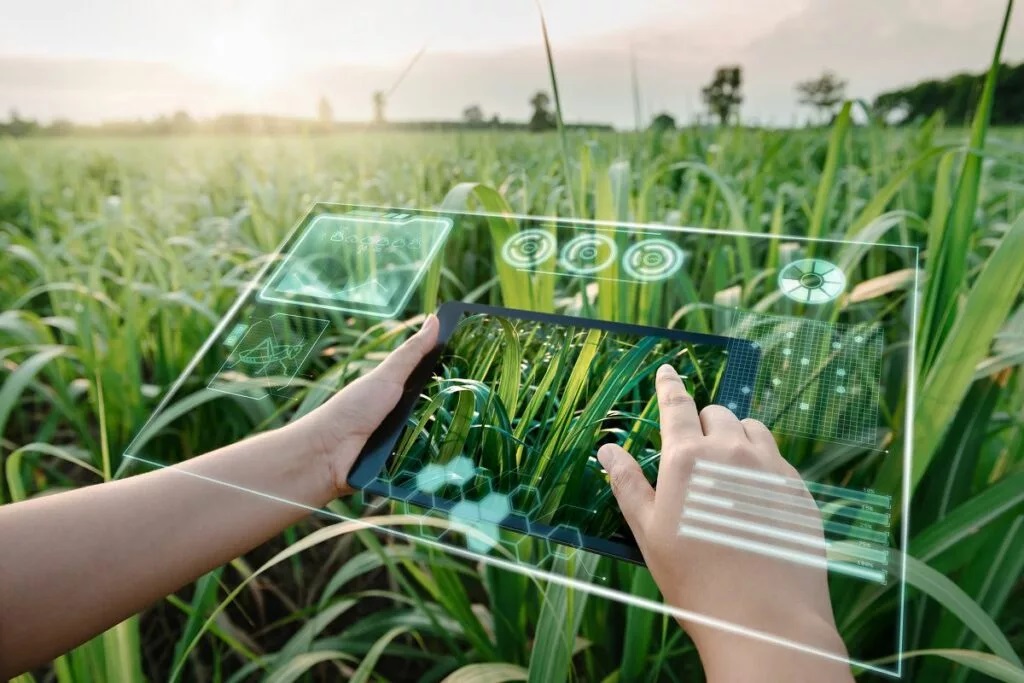 Artificial-Intelligence-and-Environmental-Health